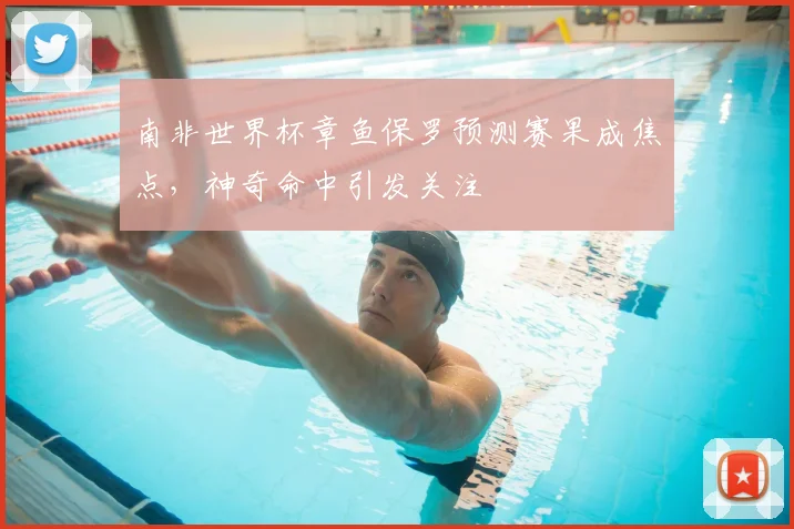 南非世界杯章鱼保罗预测赛果成焦点,神奇命中引发关注