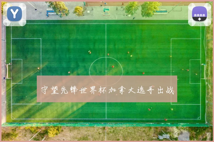 守望先锋世界杯加拿大选手出战