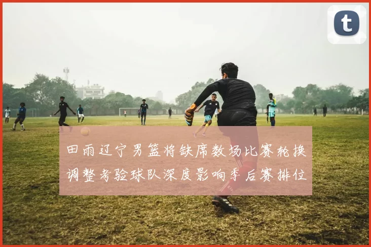 田雨辽宁男篮将缺席数场比赛轮换调整考验球队深度影响季后赛排位
