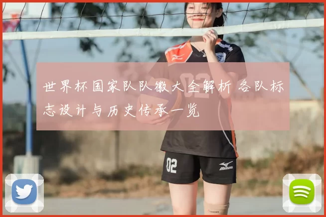 世界杯国家队队徽大全解析 各队标志设计与历史传承一览