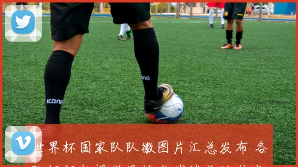 世界杯国家队队徽图片汇总发布 各队标识与视觉风格成球迷关注焦点