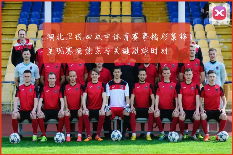 湖北卫视回放中体育赛事精彩集锦呈现赛场焦点与关键进球时刻